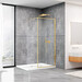 Душевая стенка Dusel Walk-In WL172G Gold 172103 (100 см, стекло прозрачное, профиль золото), Доступные размеры: 100, Цвет производителя: прозрачное стекло, отделка золото, фото 